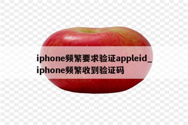 iphone发送验证码的次数过多怎么办啊怎么解决